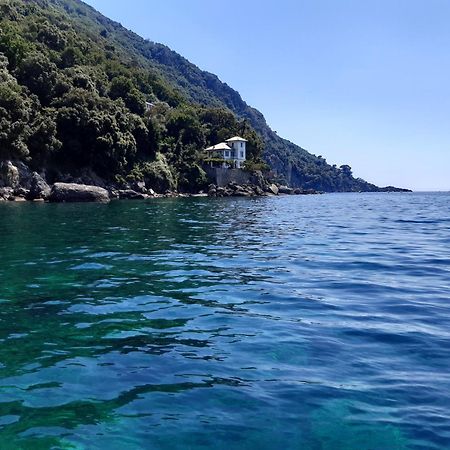 Villa Albachiara Camogli Buitenkant foto