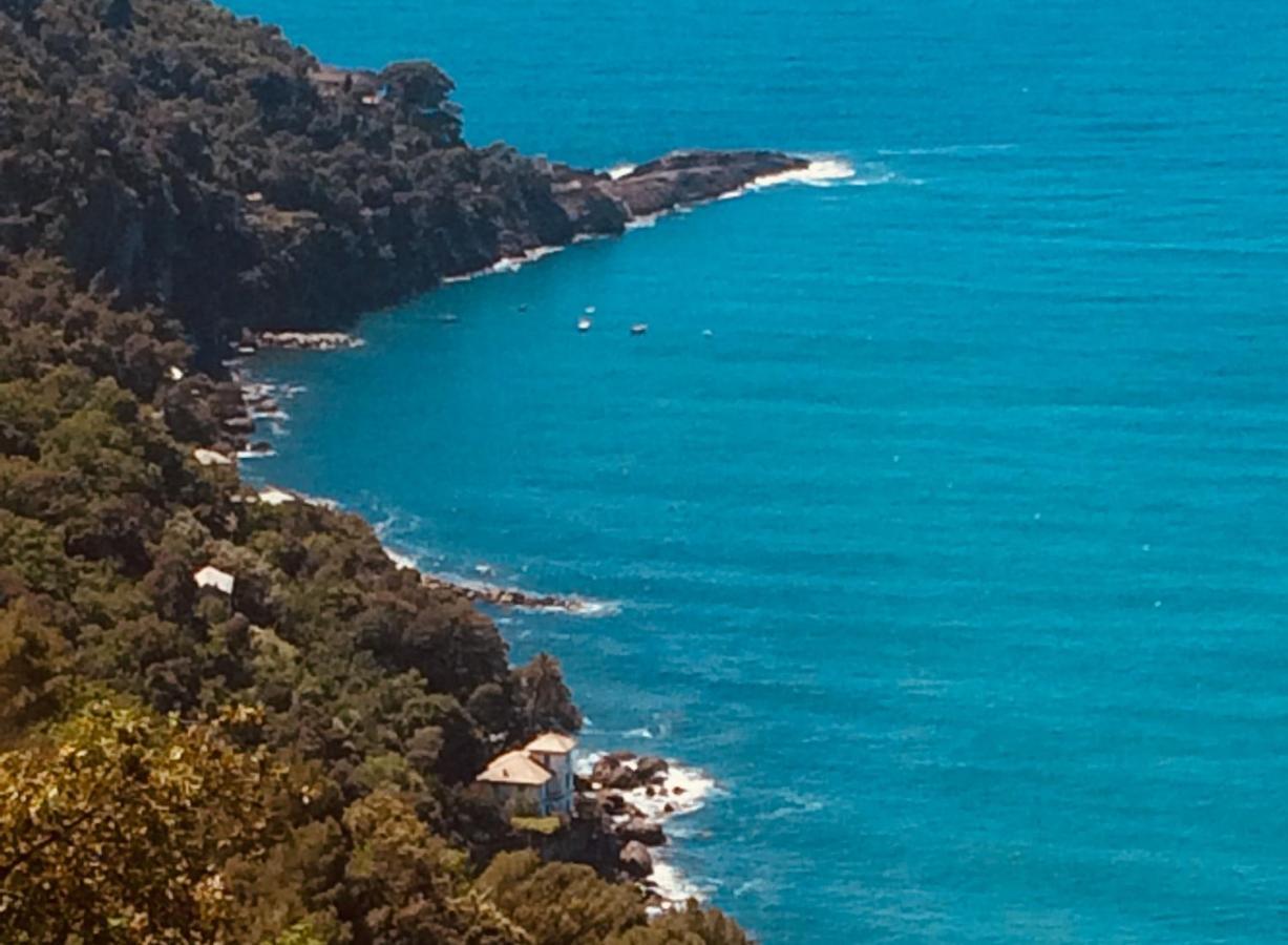 Villa Albachiara Camogli Buitenkant foto