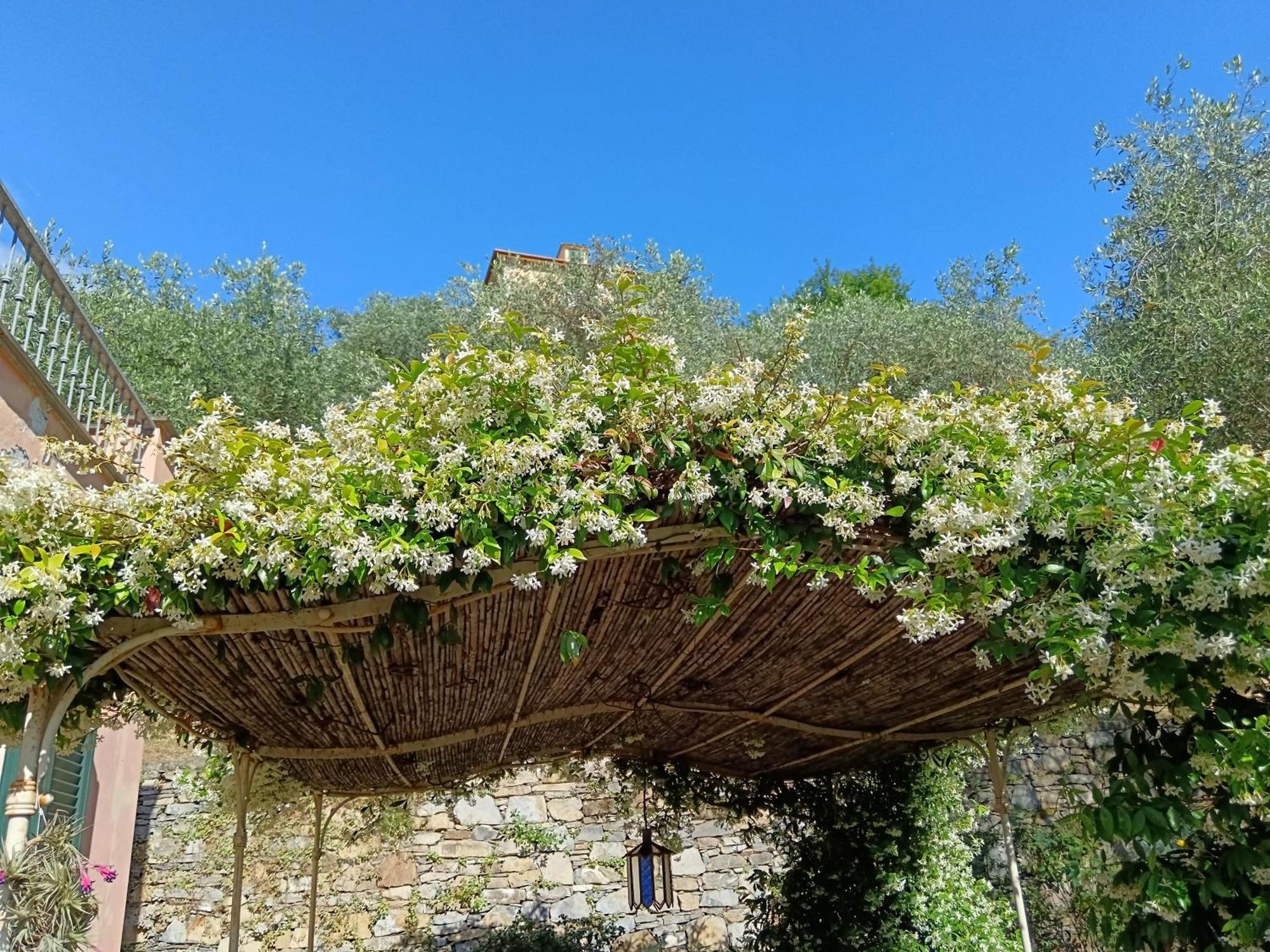 Villa Albachiara Camogli Buitenkant foto