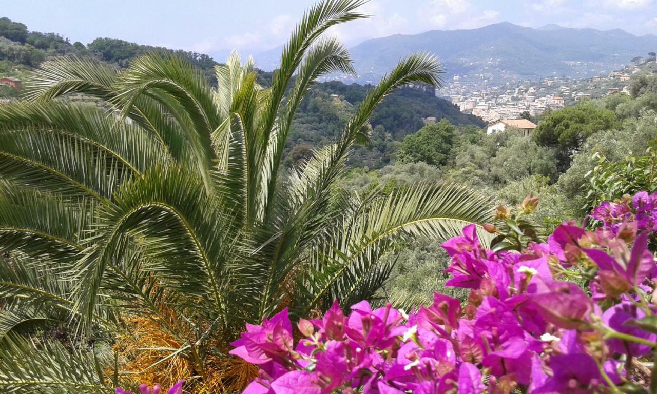 Villa Albachiara Camogli Buitenkant foto